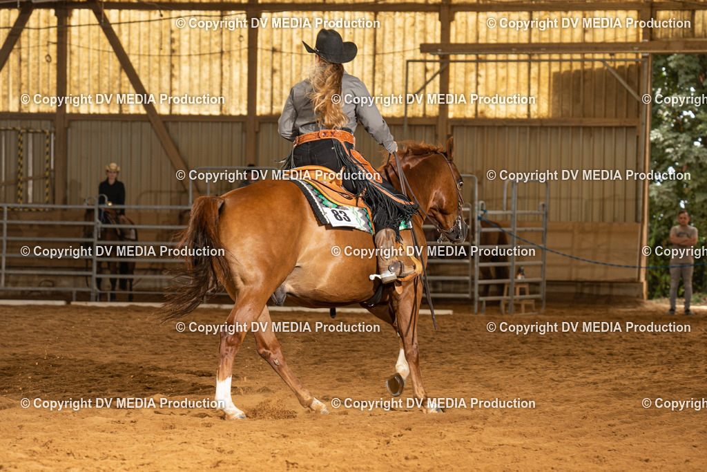 NID01428 | dv-media-shop - Realisiert mit Pictrs.com