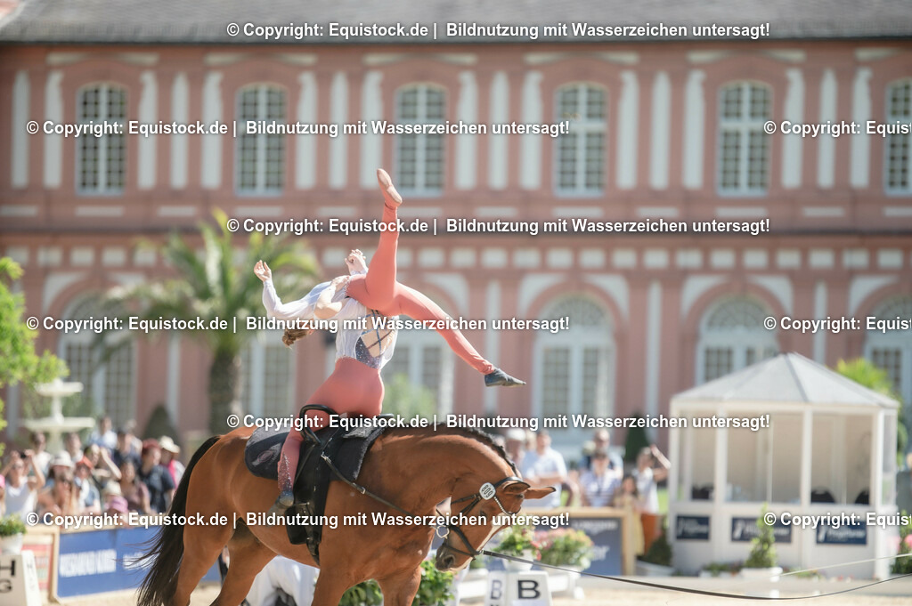 20230528_Voltigieren_NASPA_0384 | equistock