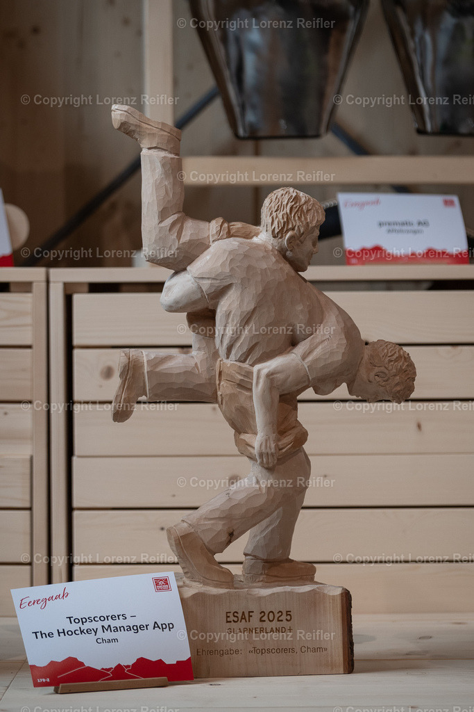 Schwingen -  ESAF Freitag Festumzug 2025 | Mollis, 29.8.25, Schwingen - ESAF Freitag Festumzug.