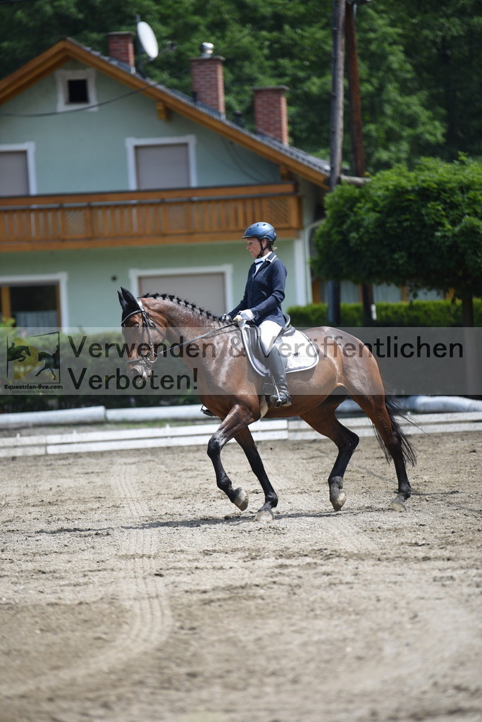 DSC_9403 | equestrian-live-com