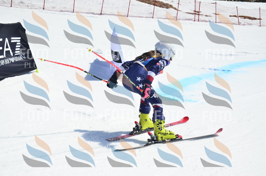 _ELE0723 | holidayphoto