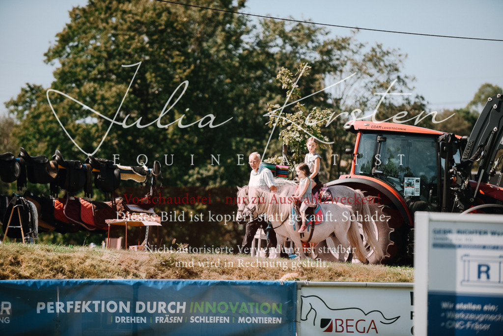 DSC_2982 | Pferde- und Turnierfotografie in Westsachsen. Pferdeportraits, Auftragszeichnungen und intuitive Kunst.