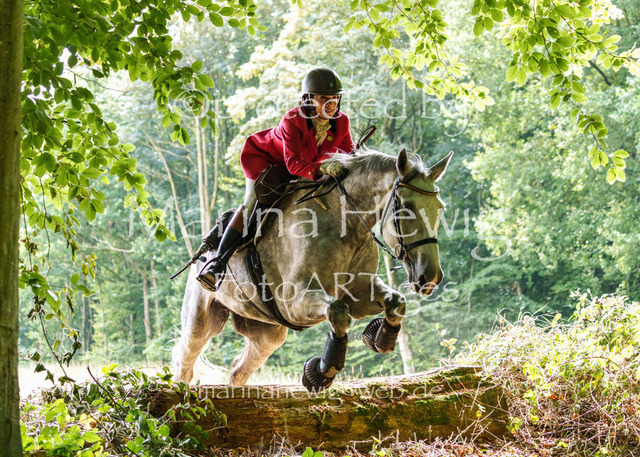 Jagd Knoop 26_MarinaHewigMCH02379 | Fotografie, FotoArt, PferdesportArt, Pferdesportfotografie, Landschaftsfotografie, Reisefotografie, Reise, Pferde - Realisiert mit Pictrs.com