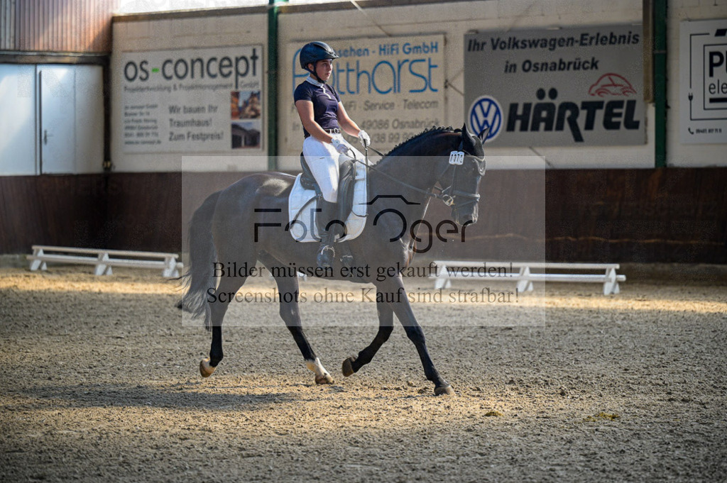Reitturnier Voxtrup | Entdecke hochwertige Reitturnierfotos von Foto Oger. Professionell, emotional und authentisch – jetzt Lieblingsmomente im Shop bestellen.Deutschlandweite Turnierfotografie. - Realisiert mit Pictrs.com