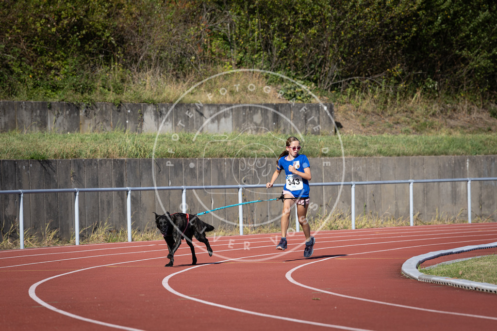 Pfotenfotografie_DV3A8611 | Hundefotografie, Tierfotograf, Pfotenfotografie, Fotoshooting Hund, Hunde Portrait, Hundesport, Hundeportraits, Heideshooting, Hunde, Sportfotograf, Hundefotograf, Turnierhundsport, THS,  - Realisiert mit Pictrs.com