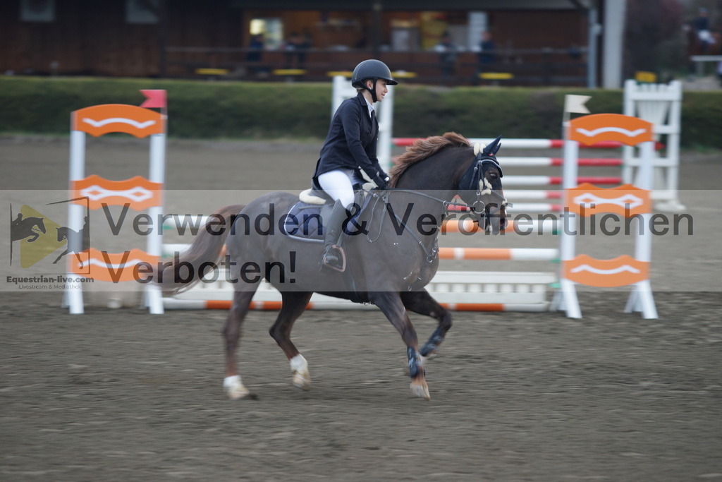 DSC00193 | equestrian-live-com