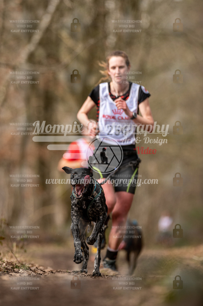 SPA_2023_SAM_CCK-2 | PayLife