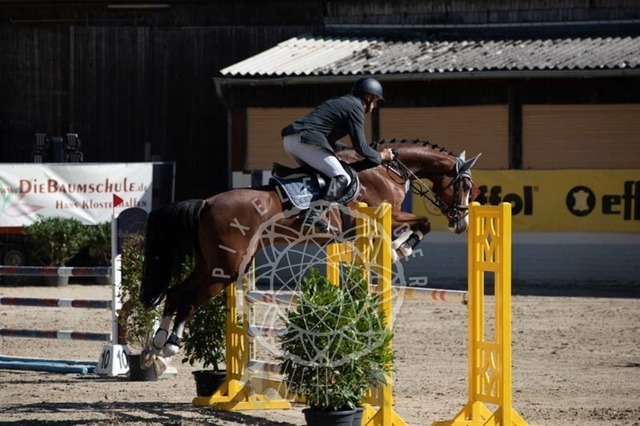 2B4A0485 | pixelfaenger - Realisiert mit Pictrs.com