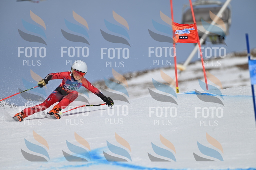 BGV_3531 | holidayphoto