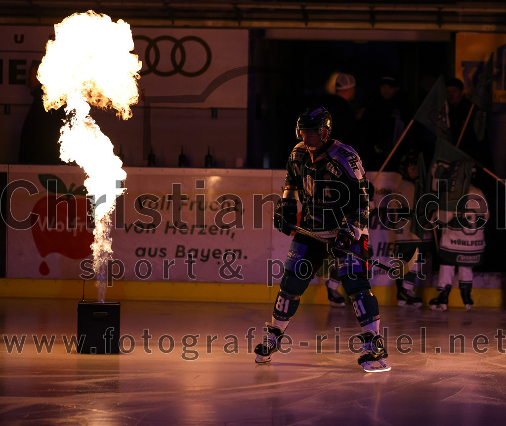 2026-02-15_009_TSV_Erding_gegen_EC_Peiting | Erding, Deutschland, 15.02.2026:Eishockey, Oberliga Süd 2025 / 2026, 47. Spieltag, TSV Erding gegen EC Peiting, Endergebnis: 4:5Maximilian Forster (Erding Gladiators, #81)Foto: Christian Riedel / fotografie-riedel.net