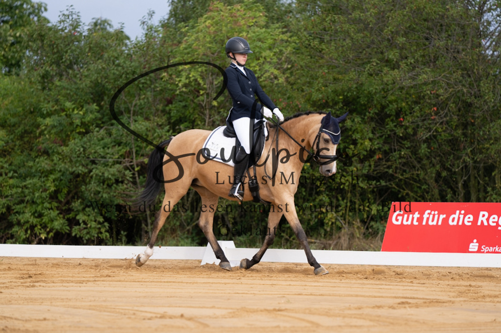 A7V05089 | Pferdefotograf