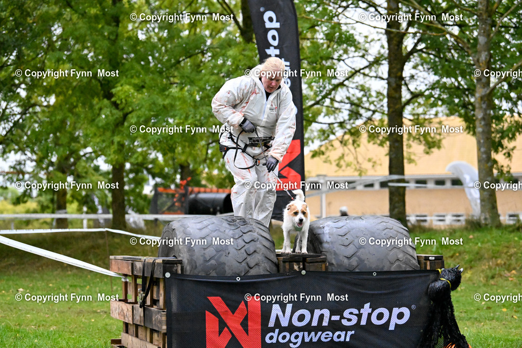 DSC_2997 | Hallo und herzlich Willkommen auf meiner Shop-Seite Fynn Most.

Ich wünsche Dir viel Spaß beim stöbern durch die Bilder, wenn Du Fragen hast oder Bilder vermisst, kannst du mir gerne eine Nachricht schreiben. - Realisiert mit Pictrs.com