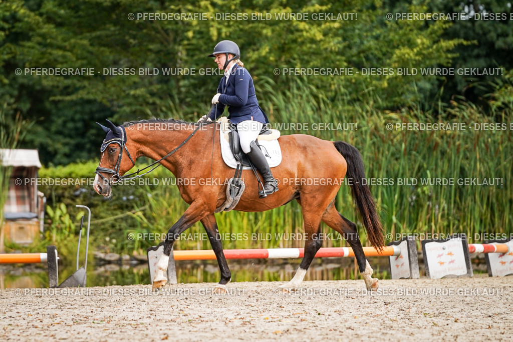 DSC02302 | Pferdegrafie