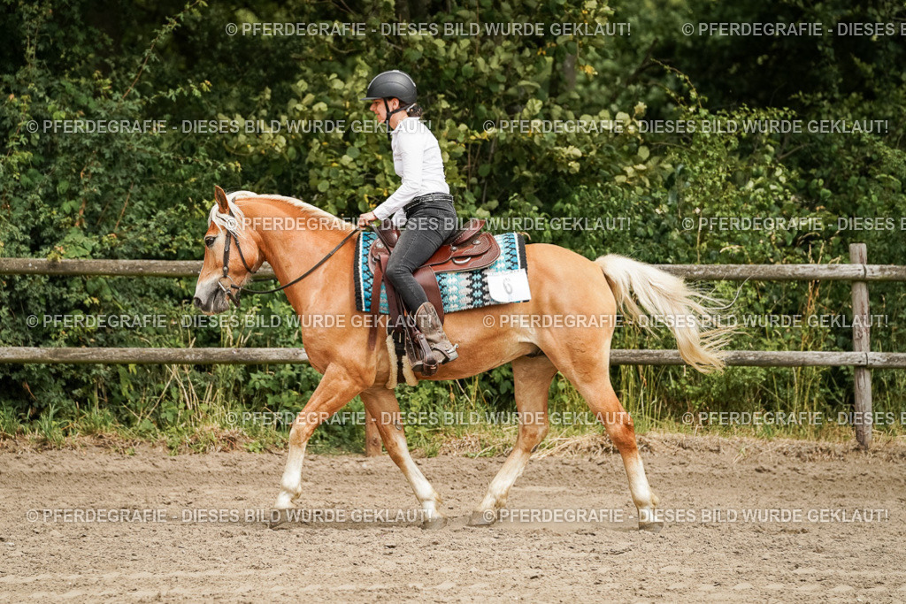 DSC00318 | Pferdegrafie