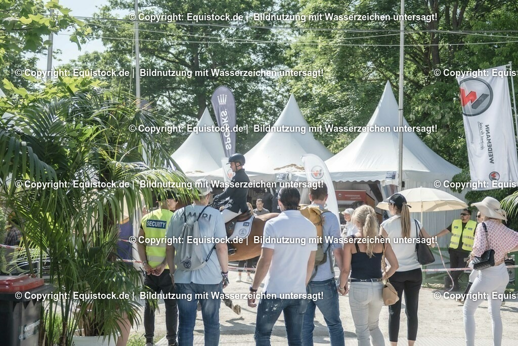 ZFC_4335 | equistock