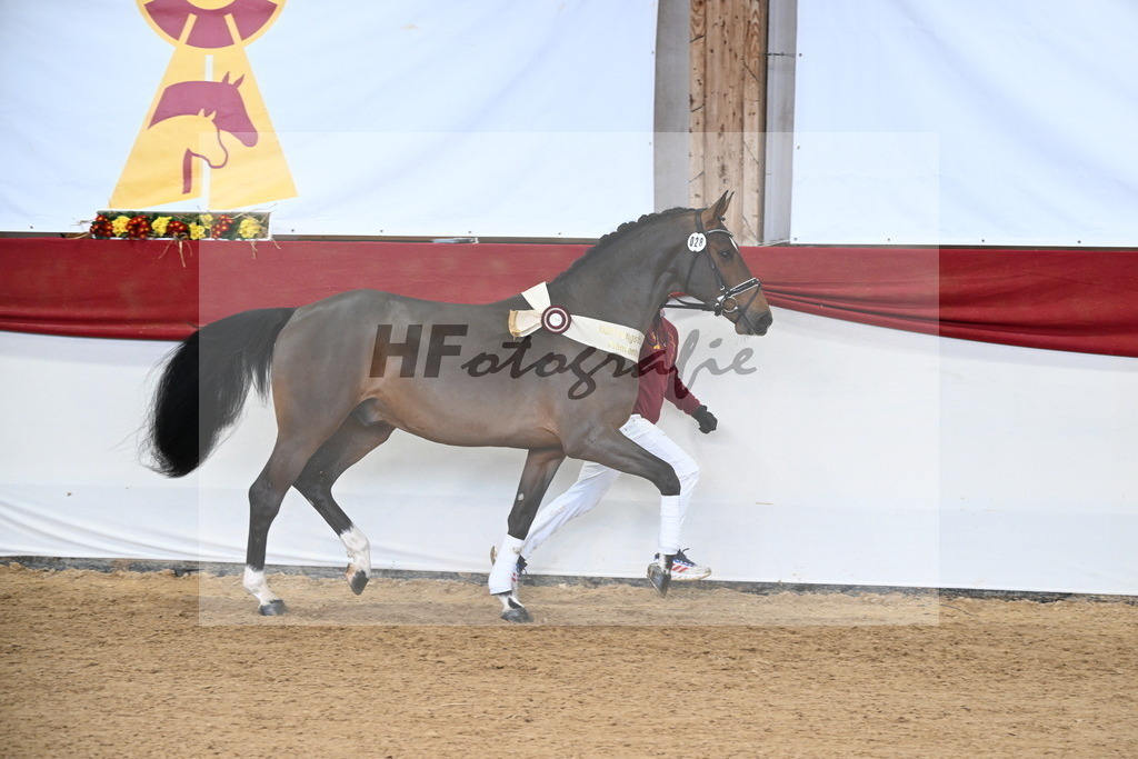 Kat.-Nr. 28 v. Million Dollar_Isaak_3265300 | hf-fotografie - Realisiert mit Pictrs.com