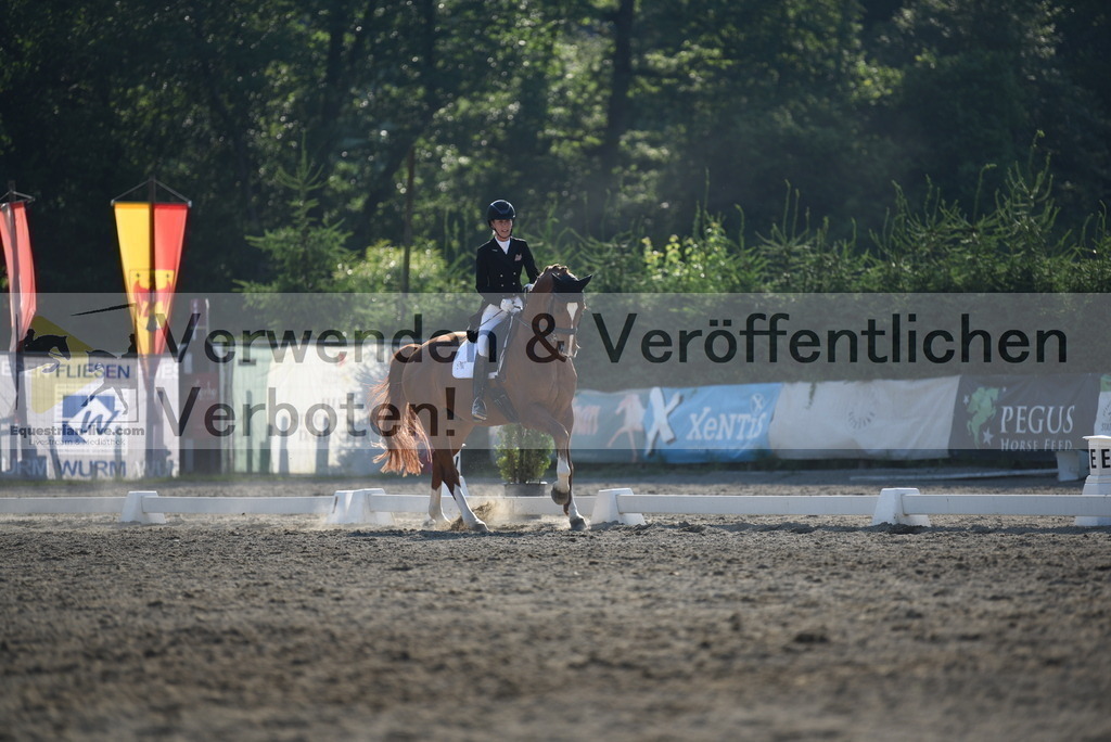 DSC_3196 | equestrian-live-com