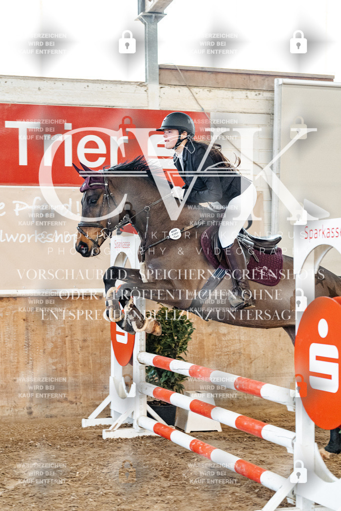 CK904200 | Turnierfotografie Pferdefotografie Trier Rheinland-Pfalz Pferdesport Reitsport Tierfotografie Sportfotografie Pferdevideo Pferdevideografie Equestrianvideography equestrianphotography  - Realisiert mit Pictrs.com