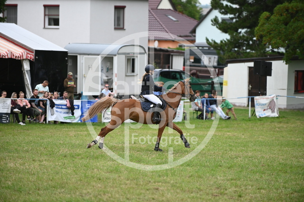 DSC_2314 | sattelsport - Realisiert mit Pictrs.com