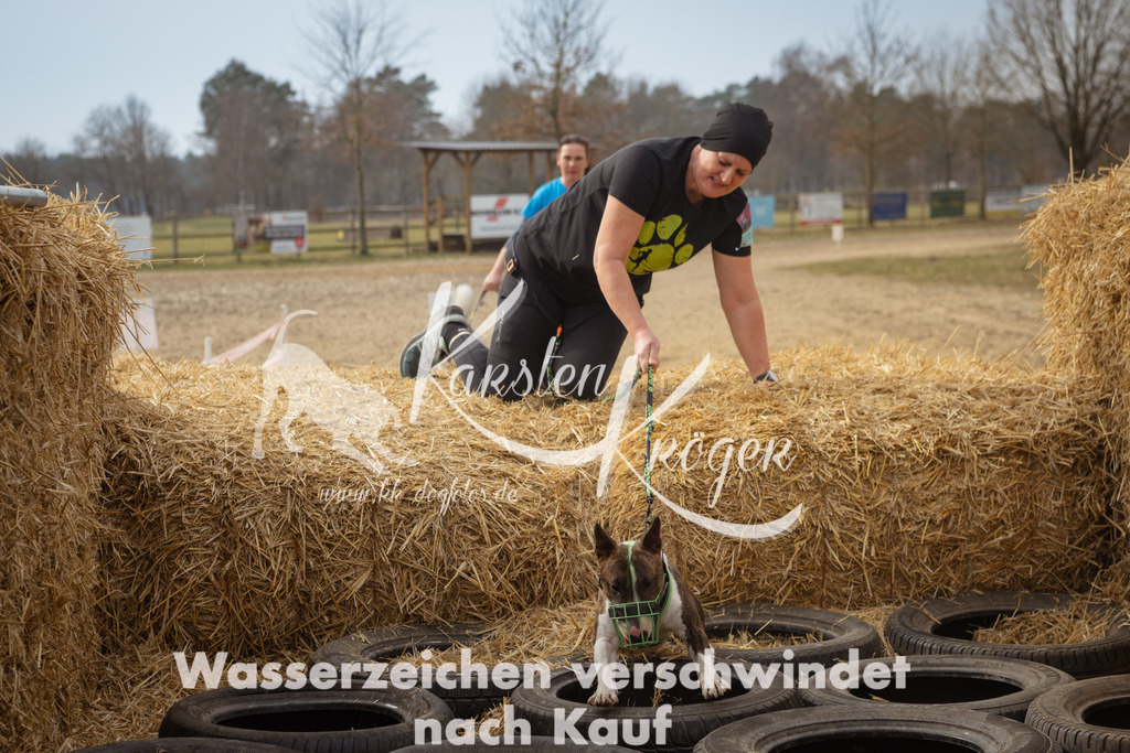 1134_ZZ94420 | kk-dogfotos