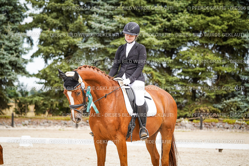 DSC04572 | Pferdegrafie