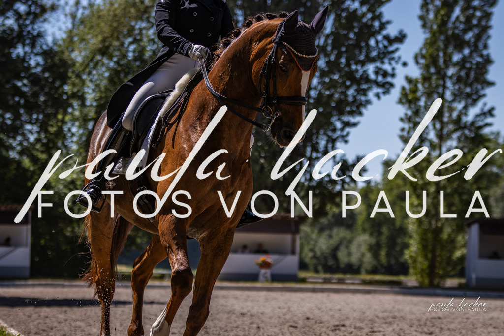 IMG_8561 | Erleben Sie dynamische Sport- und emotionale Tierfotografie in Süddeutschland mit Fotos von Paula. Spezialisiert auf Pferde- und Hundefotografie sowie Sportevents. Kontaktieren Sie mich für einzigartige und ausdrucksstarke Bilder Ihrer besonderen Momente. - Realisiert mit Pictrs.com