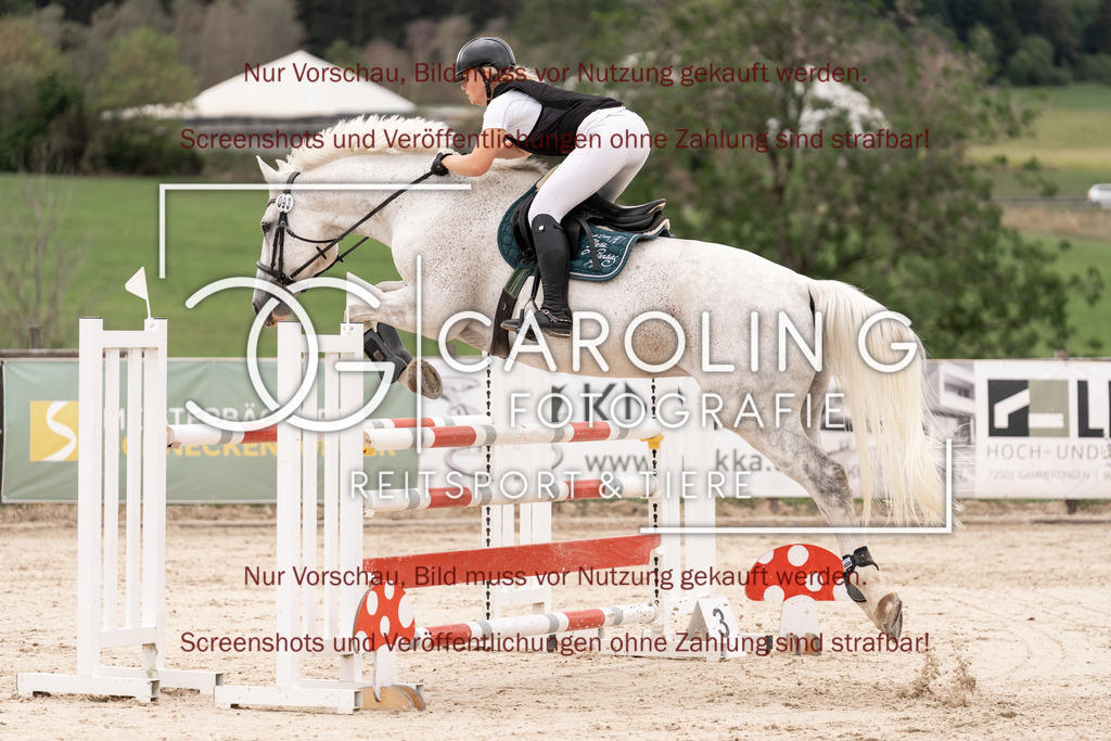 DSC06499 | Springturnier_Teamchallege_Talheim_2026, Natascha_Pfaff, Clover's_Hope_SD