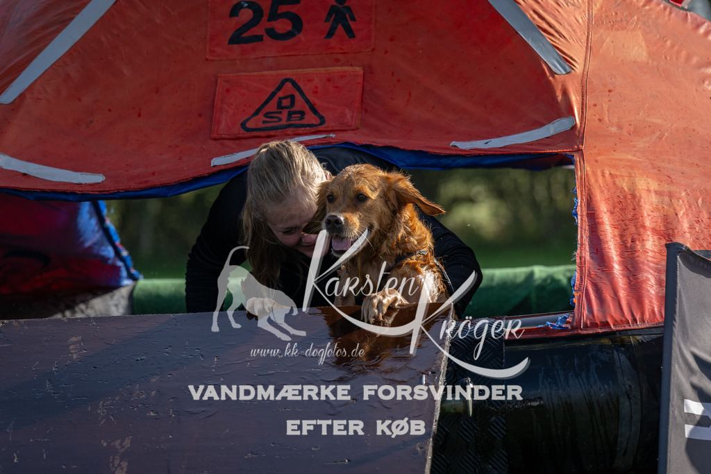 1148-92277 | kk-dogfotos