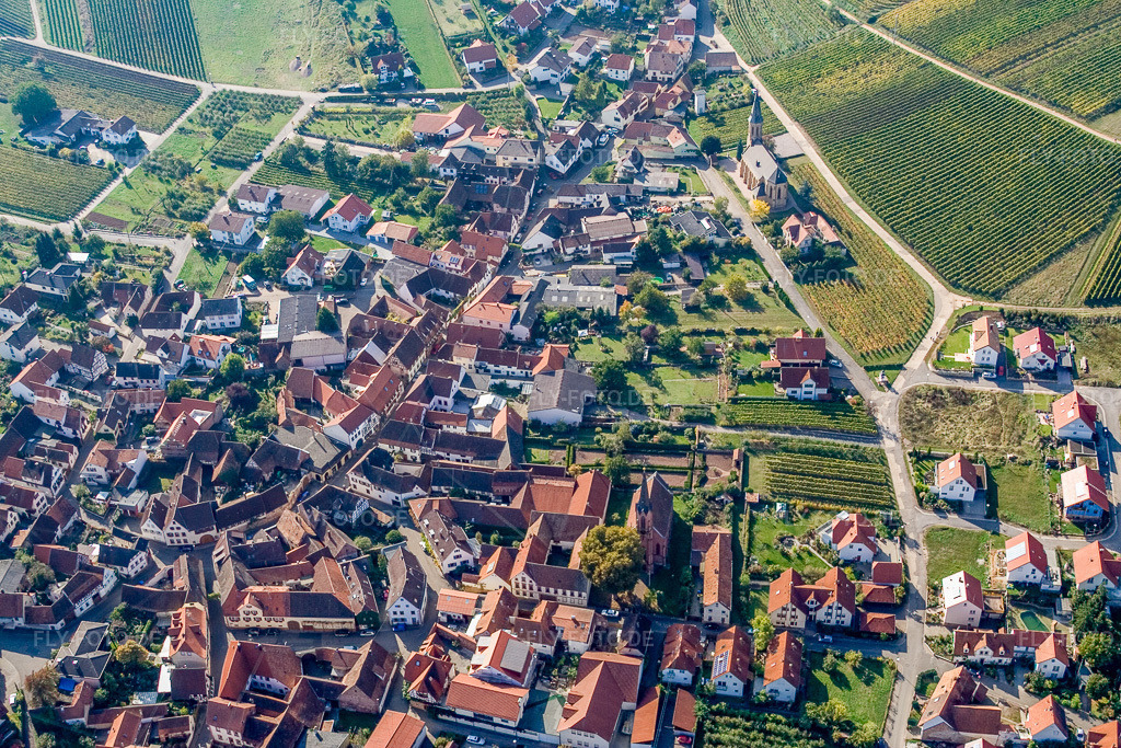 Luftbild: Winzerdorf zwischen Rebbergen von Osten in Birkweiler im Bundesland Rheinland-Pfalz in Deutschland. Foto: IMG_8371.jpg vom 06.10.2007 durch Werner Riehm/FLY-FOTO.de
