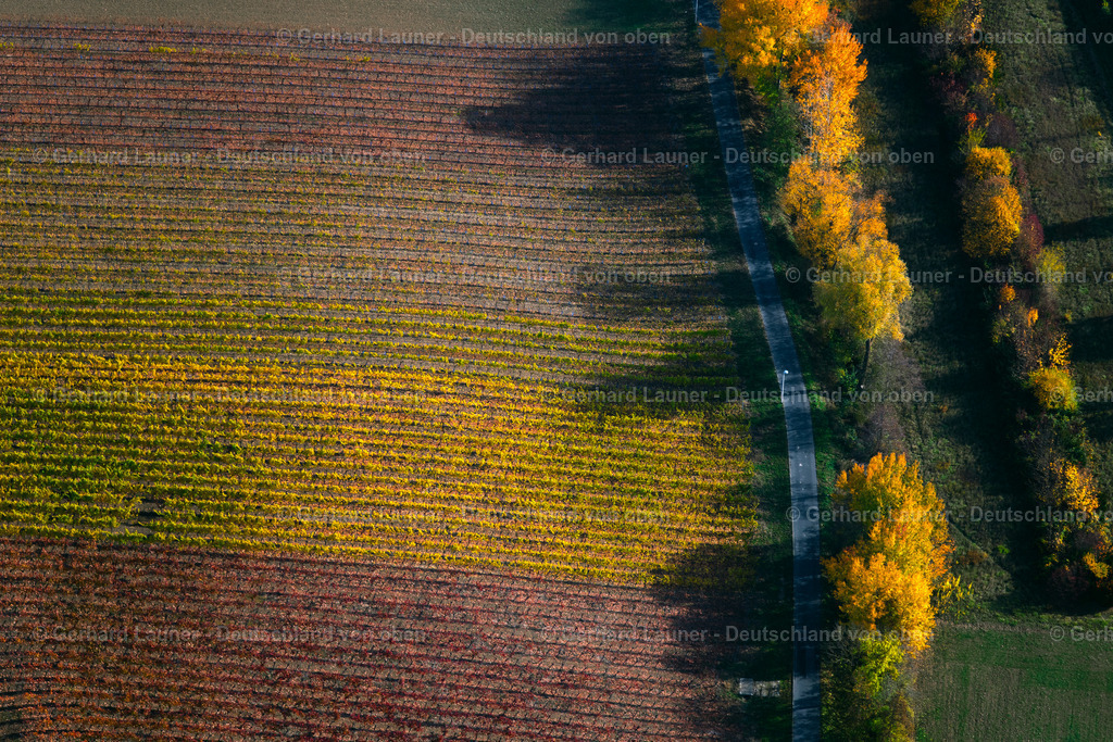 3808006 | Weinberge am Busigberg Großheubach