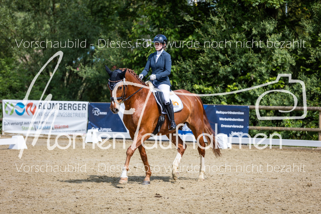 Donop24-L-Dre-011 | MomenTaufnahmen Pferdesportfotos