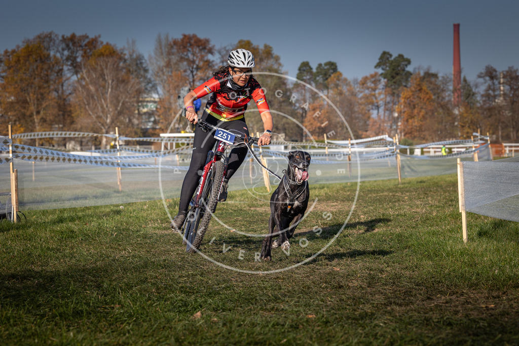 CaniXpix_0L8A6858 | Hundefotografie, Tierfotograf, Pfotenfotografie, Fotoshooting Hund, Hunde Portrait, Hundesport, Hundeportraits, Heideshooting, Hunde, Sportfotograf, Hundefotograf, Turnierhundsport, THS,  - Realisiert mit Pictrs.com