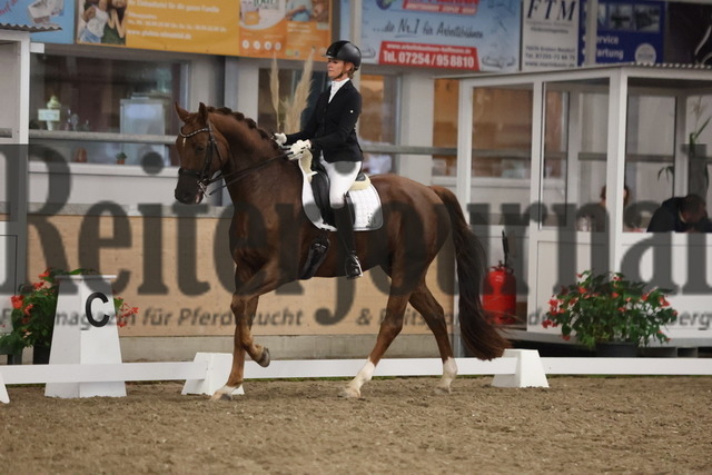 Waghäusel-Wiesental_2024_Prfg.Nr.08_1.WP_U25_Nizia Pötter_Max van de Fohlenhof (12) | Alle Fotos der Reiterjournal Fotografin Doris Matthaes im Reiterjournal Online-Fotoshop. - Realisiert mit Pictrs.com