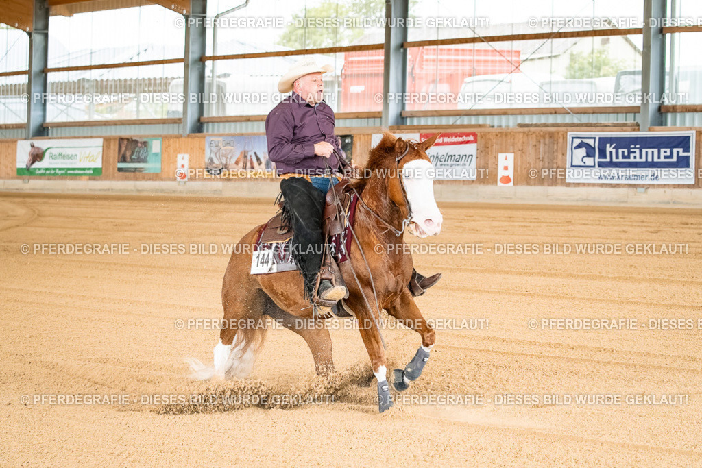 DSC01617 | Pferdegrafie