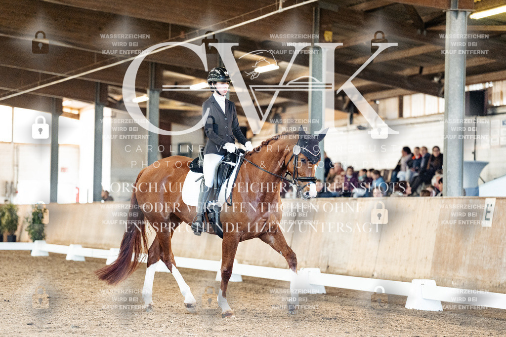 CK909015 | Turnierfotografie Pferdefotografie Trier Rheinland-Pfalz Pferdesport Reitsport Tierfotografie Sportfotografie Pferdevideo Pferdevideografie Equestrianvideography equestrianphotography  - Realized with Pictrs.com
