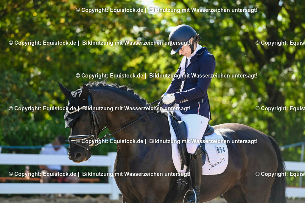 20230715_06_Dressurpferdeprfg. Kl.A_0236 | equistock