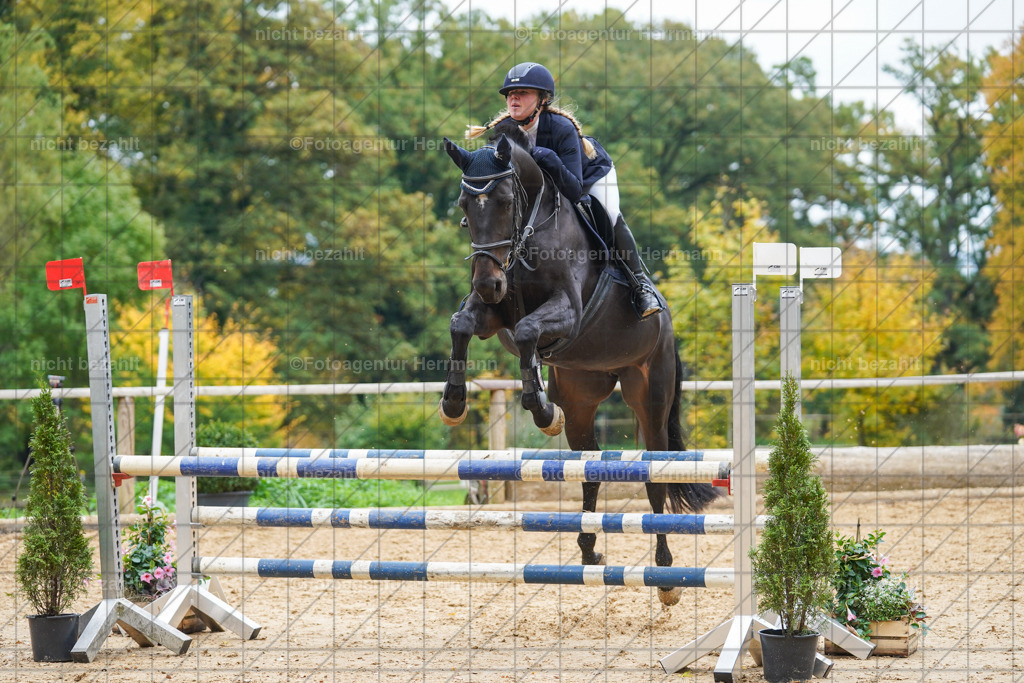 20221009-FAH08864 | Diessen am Ammersee, 2022, Dressur- und Springturnier, Reitsportbilder, Turnierfotografen Bayern, Pferdefotografen, Fotoagentur Herrmann, Turnierbilder