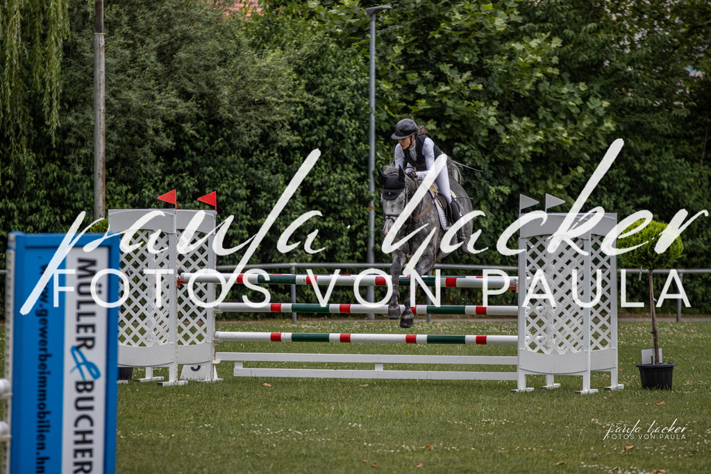 IMG_7110 | Erleben Sie dynamische Sport- und emotionale Tierfotografie in Süddeutschland mit Fotos von Paula. Spezialisiert auf Pferde- und Hundefotografie sowie Sportevents. Kontaktieren Sie mich für einzigartige und ausdrucksstarke Bilder Ihrer besonderen Momente.