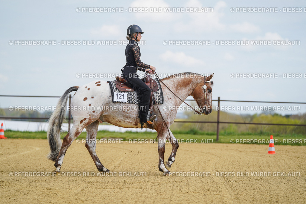 DSC05658 | Pferdegrafie