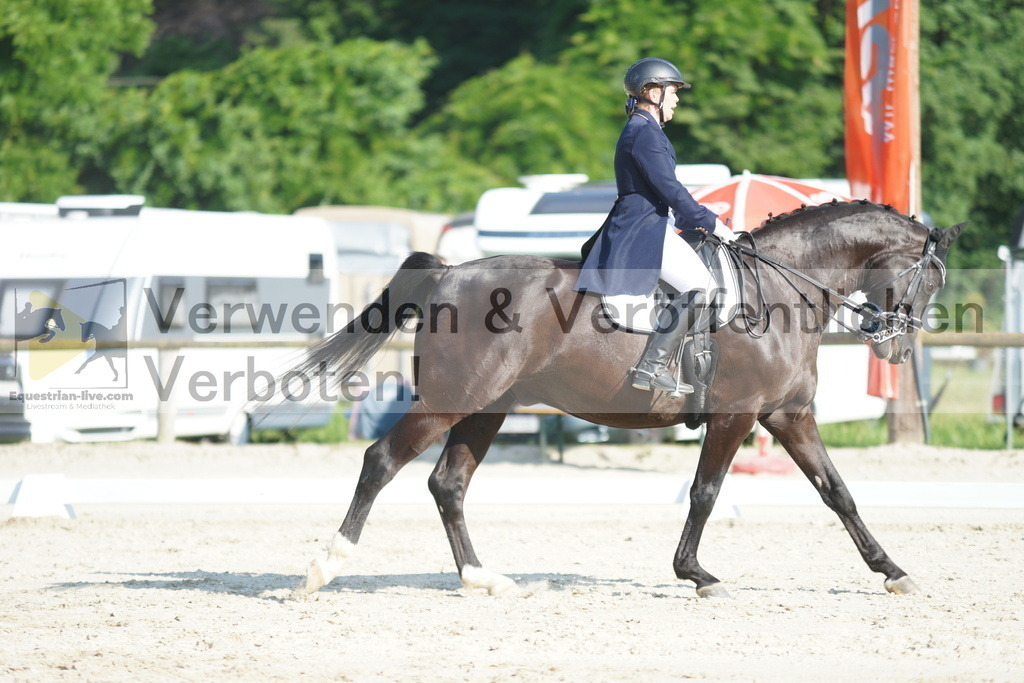 DSC02552 | equestrian-live-com