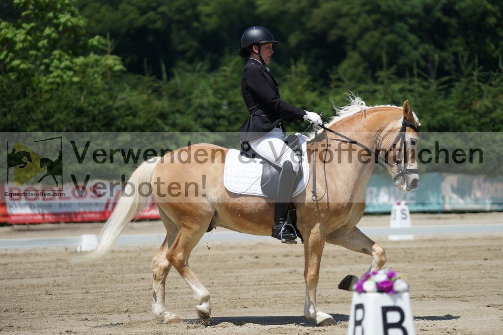 DSC03508 | equestrian-live-com