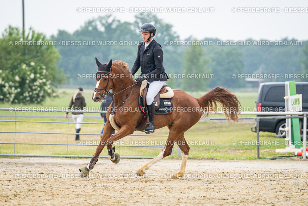 DSC00673 | Pferdegrafie