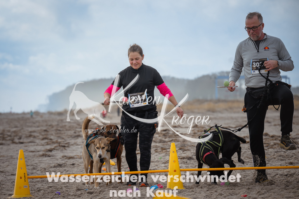1214_ZZ95562 | kk-dogfotos