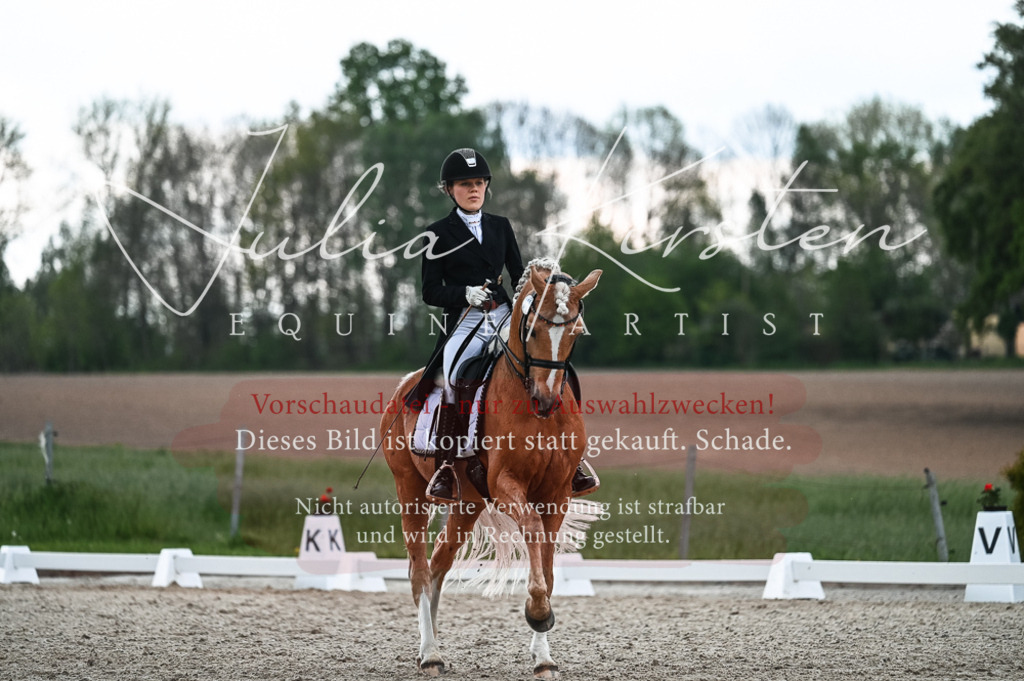 20230514_JK-Röhrsdorf-21-402 | Pferde- und Turnierfotografie in Westsachsen. Pferdeportraits, Auftragszeichnungen und intuitive Kunst.