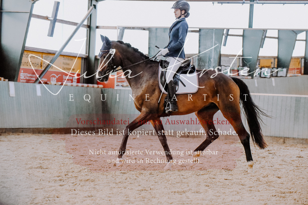 DSC_7629 | Pferde- und Turnierfotografie in Westsachsen. Pferdeportraits, Auftragszeichnungen und intuitive Kunst.