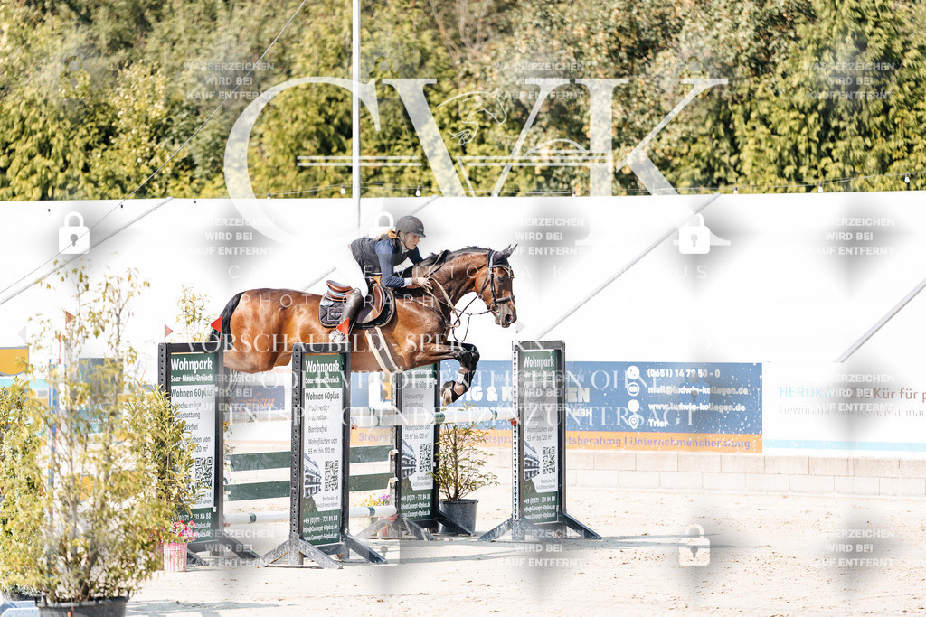 CK902242 | Turnierfotografie Pferdefotografie Trier Rheinland-Pfalz Pferdesport Reitsport Tierfotografie Sportfotografie Pferdevideo Pferdevideografie Equestrianvideography equestrianphotography  - Realisiert mit Pictrs.com
