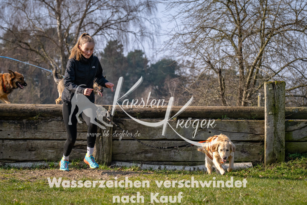 _ZZ94372 | kk-dogfotos