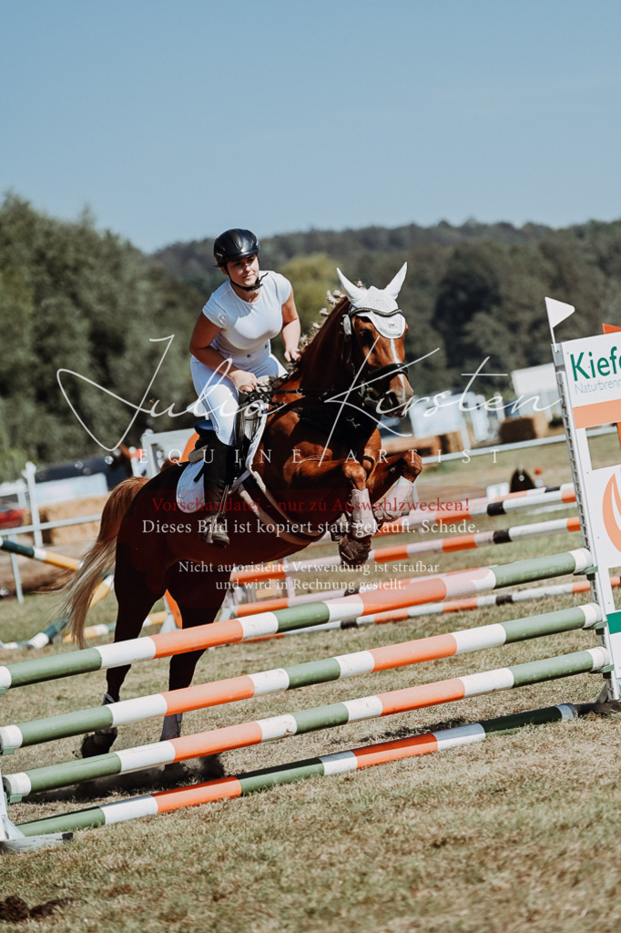 DSC_0019 | Pferde- und Turnierfotografie in Westsachsen. Pferdeportraits, Auftragszeichnungen und intuitive Kunst.