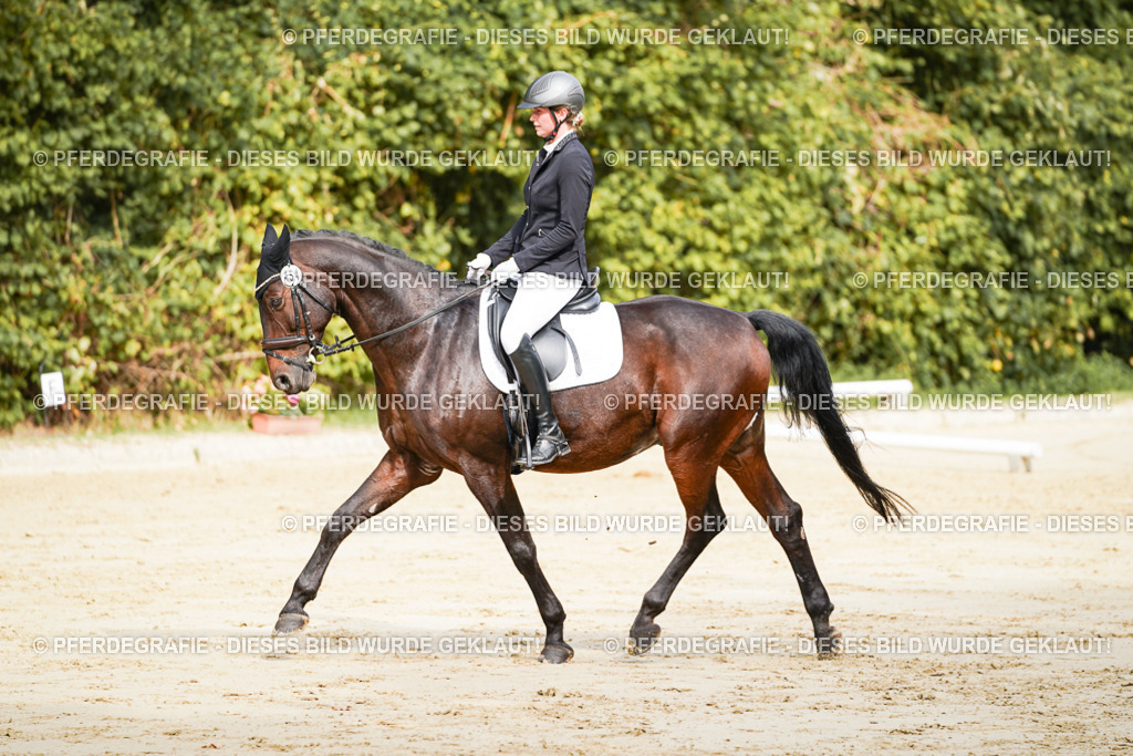 DSC01640 | Pferdegrafie