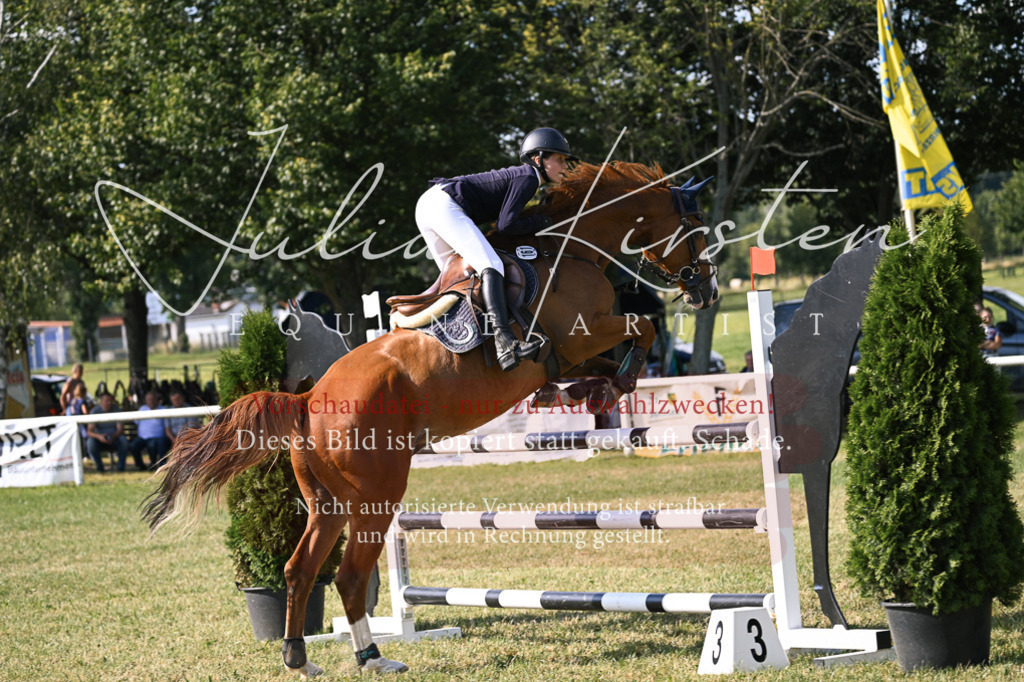 DSC_1203 | Pferde- und Turnierfotografie in Westsachsen. Pferdeportraits, Auftragszeichnungen und intuitive Kunst.